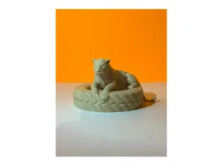 Leopard on a tire