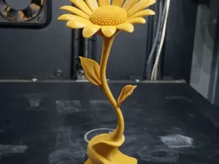 Elegant Twisted Daisy