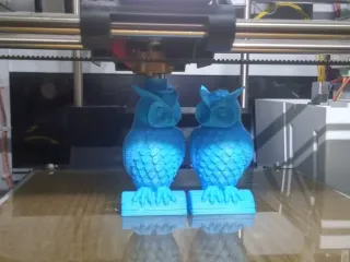 Owl