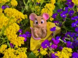 Cute Mouse-1