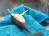 Humpback Whale-1