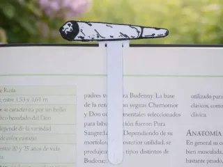 Joint Bookmark