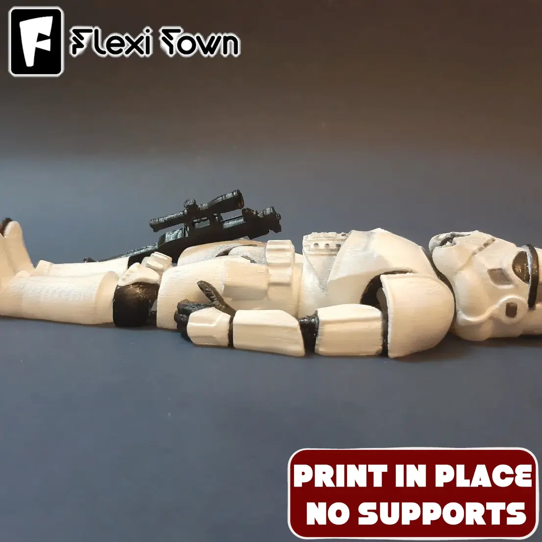 Flexi Print-in-Place Stormtrooper