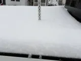 Snow Stick to measure the depth of the snow-1