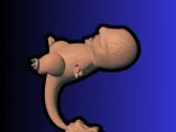 Charmander Pokemon-3