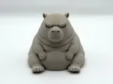 Chonky Grumpy Capybara-1