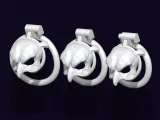 Chastity Cage Strigiformes-3