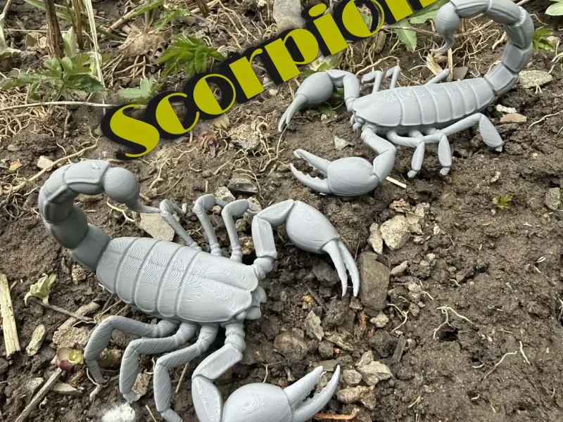 Schorpioen, schorpioen met scharen