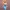 Anime Girl Curvy