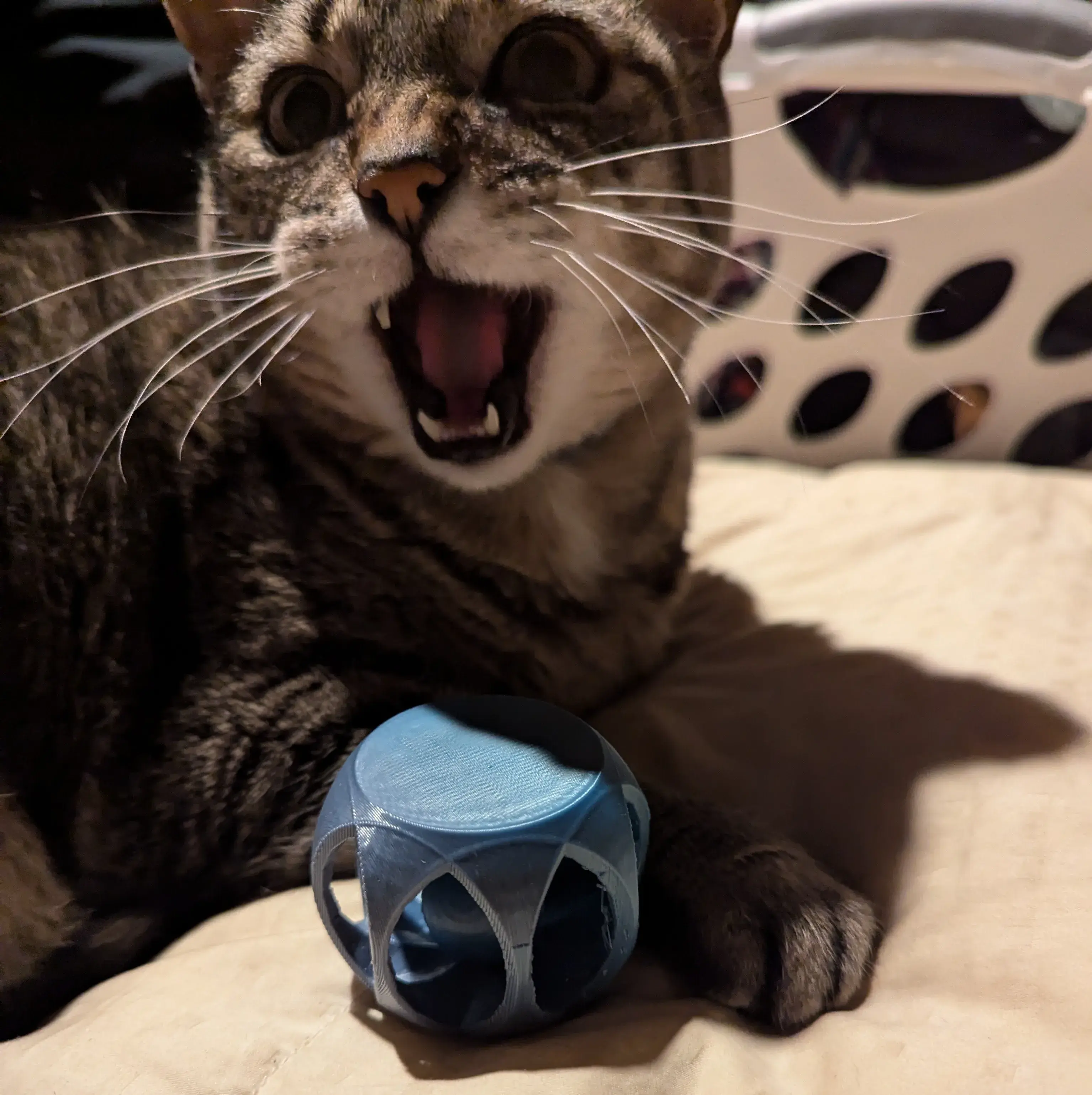 Cat Roller Ball Toy
