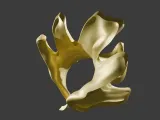 A ring made of an oak leaf-1