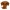 Funko Pop Dachshund Pelo Curto Brown Tan