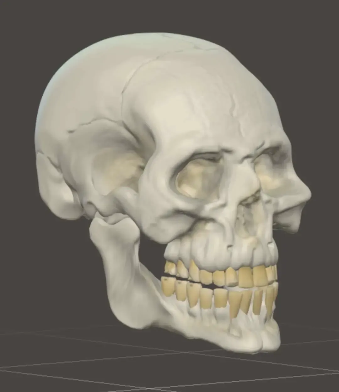skull for Halloween 
