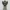 Temple Sky Eagle – Ancient Guardian Relic Diorama
