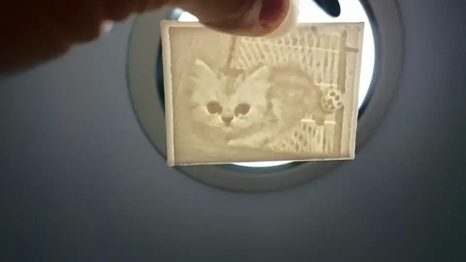 Picture (up light ) - Cats 