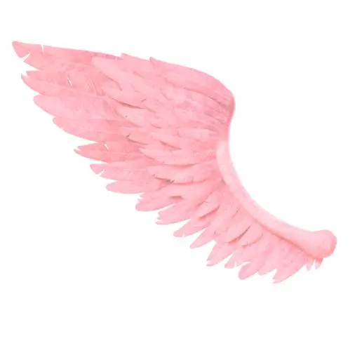 Detailed Pink Feathered Angel Wing 3D Model STL Printable