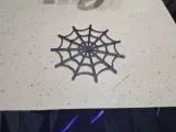 spider web coaster-0