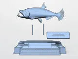 PAYARA-7