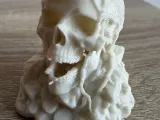 Skull ruin-1