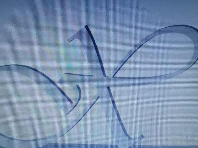 Lettre X en police Vivaldi en majuscules.