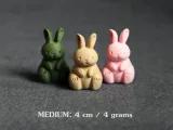 Cute Bunny-8