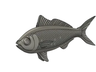 Australian herring