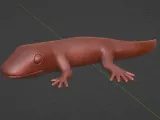 newt salamander-1