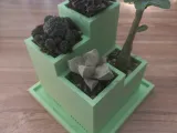 Cactus pot-1