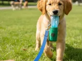 Porta bolsa para mascota-0