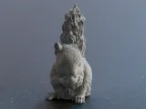 Cute Squirrel eating a Nut-2