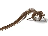 Fin Whale Skeleton – Massive Realistic Marine Animal 3D Mode-4