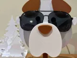 porte lunette chien-2