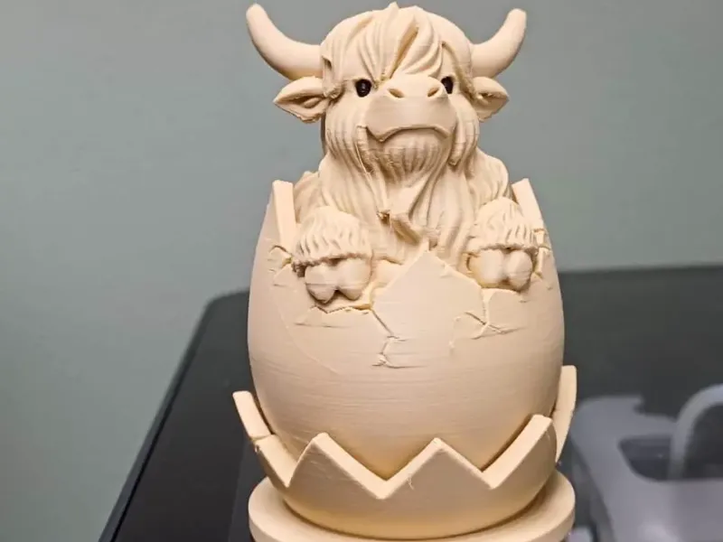 Baby Highland Cow in Egg