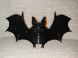 Chauve-souris - Nietoperz-5