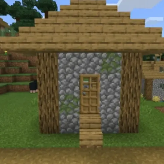 Minecraft Villager House