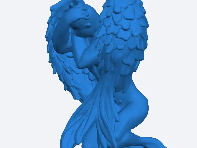 angel varón 