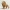Lion - Roots of Life – The Wooden Creatures