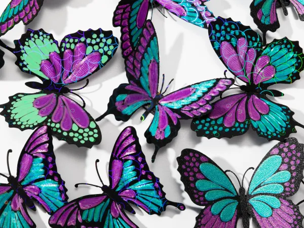 Multi color butterfly