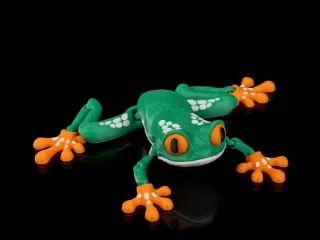 Reed Tree Frog