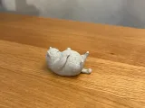Kleine dicke Katze-3