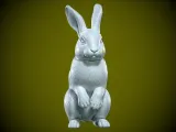 Rabbit rex model urban vibes-2