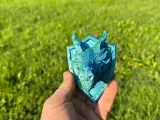 Dragon Guardian Shield-4