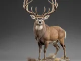 Whitetail Buck-4