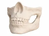 SKULL MASK-0