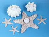 Starfish Tealight Holder-3