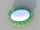 Leaf type Soap Holder-3