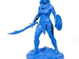 The desert warrior-2