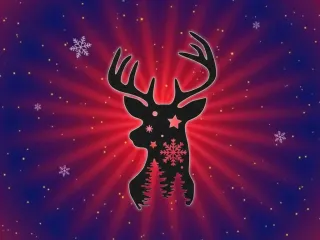 Adorno Navidad 2