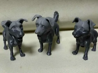 Beautiful dog