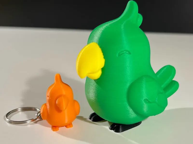 Loro Adorable